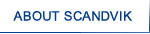 About Scanvik, Inc.